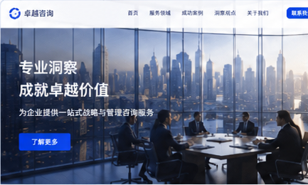 咨询服务公司官网案例